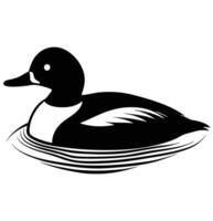 a bufflehead duck swimming calmly on a pond vector