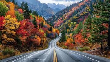 Serene Curved Road Through Vibrant Autumn Forest in Mountains photo