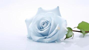 Fresh Blue Rose on Soft Surface with Water Droplets photo
