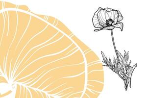 poppy flowers, format, hand drawn outline. Easy to edit, ready to use. A mix between a yellow and a black flower on a white background. vector