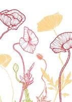 A4, A3, poppy bouquet hand drawn illustration. Art print with elegant line art red and yellow summer flowers. Highly detailed and high quality graphic asset for online and print. vector