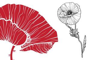 poppy flowers, format, hand drawn outline. Easy to edit, ready to use. A mix between a red and a black flower on a white background. vector