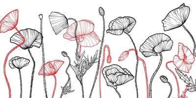 Abstract floral background with red and black line art of poppy flowers and leaves. Hand drawn poppies flowers background and pattern. design of card, banner, invitation and packaging vector
