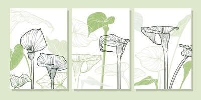 A3 calla lily line art hand drawn illustration. A4 Art print with line art calla lily flower in green tones. Highly detailed and high quality graphic asset for online and print. vector