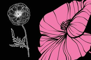 poppy flowers, format, hand drawn outline. Easy to edit, ready to use. A mix between a pink and a white flower on a black background. vector