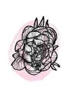 A4 peony bloom line art hand drawn illustration. Art print with beautiful and elegant black spring flower. Highly detailed and high quality graphic asset for online and print. vector