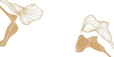 Abstract floral background with golden line art calla lilies. Hand drawn calla lily banner with flower frame, border. design of card, banner, invitation, advertising and packaging vector
