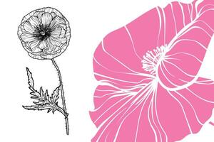 Poppy flowers, format, hand drawn outline. Easy to edit, ready to use. A mix between a pink and a black flower on a white background. vector