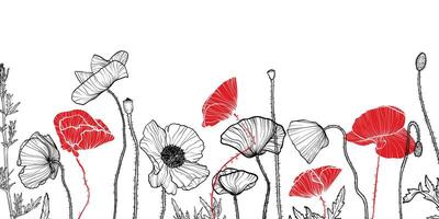 Abstract floral background with red and black line art of poppy flowers and leaves. Hand drawn poppies flowers background and pattern frame. design of card, banner, invitation and packaging vector