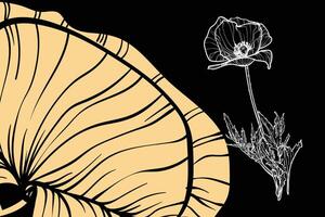poppy flowers, format, hand drawn outline. Easy to edit, ready to use. A mix between a yellow and a white flower on a black background. vector