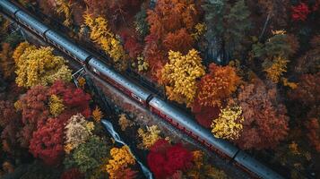 Scenic Train Journey Through Vibrant Autumn Forest Landscape photo