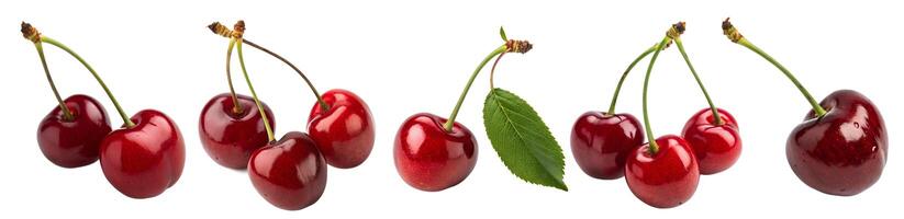 Fresh cherries in various arrangements showcasing vibrant colors and textures during a summer harvest. photo