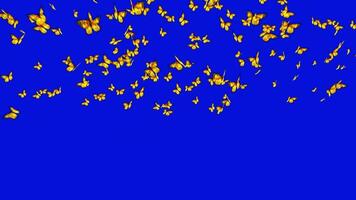 Group of Yellow bright butterflies flying in the air on blue screen effect background video