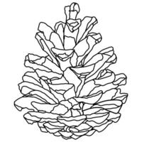 Decorative outline pine seeds line art illustration graphic element vector