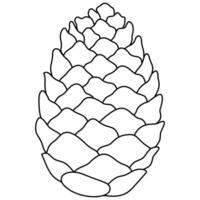 Decorative outlined pine cone seed line art illustration graphic element vector