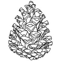 Stylized pine cone outline graphic element design vector