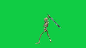 Skeleton holding sword fighting action movement 3d animation isolated on green screen background video