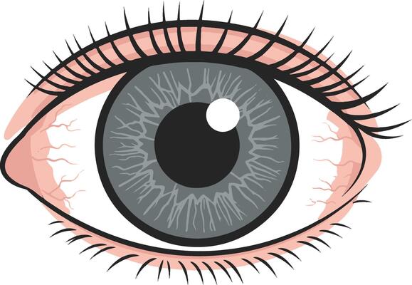 A human eye