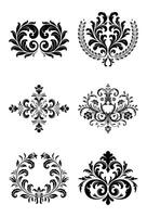Collection of elegant black and white floral ornamental design elements with decorative flourishes vector