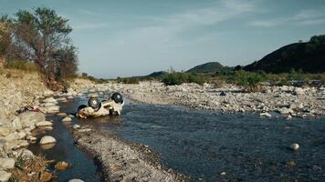 Melancholy Toy Car Abandoned In A River Dump With Water video