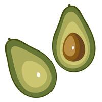 Avocado Slice Flat illustration, Simple and Clean vector