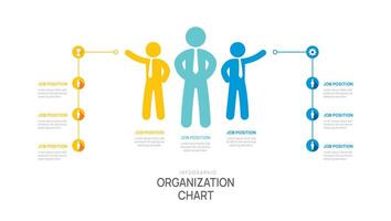 organization chart Infographic template for business avatar icon vector