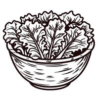Hand drawn bowl of fresh leafy lettuce in rustic vector