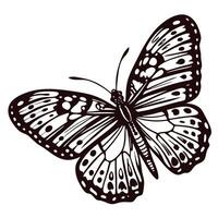 Detailed monochrome butterfly with intricate patterns and open wings vector