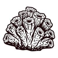 Detailed line art of coral reef structure with organic patterns and sea life elements vector