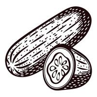 Detailed black and white of whole and sliced cucumber with seeds vector