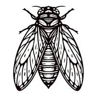 Intricate black and white of a cicada with detailed wing patterns vector