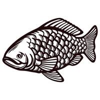Black and white of a detailed fish with scales and fins vector