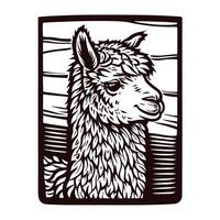 Stylized alpaca portrait in rustic woodcut design with bold lines and textures vector
