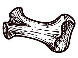 Detailed of a single bone fragment with texture and shadows in black and white design vector