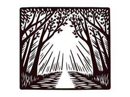 Nature themed artwork depicting dense forest with sun rays streaming through trees vector