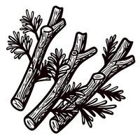 Abstract botanical of monochrome wooden branches with leaves vector