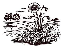 Floral landscape with poppies in simplistic black and white art vector