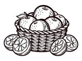 Basket of freshly sliced citrus fruits and whole apples in rustic design vector