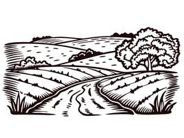 Rural landscape with winding pathway through fields and trees in black and white vector