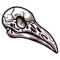Detailed of a bird skull with intricate linework and cracks vector