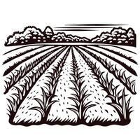 Rows of crops in a rural landscape with trees at the horizon in black and white artwork vector