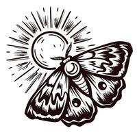 Intricate moth design with sunburst in monochrome art vector