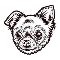 Chihuahua dog with detailed fur and lively expression in monochrome design vector