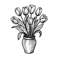 Black and white sketch of tulips in a decorative vase showcasing intricate line art design vector