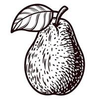 Detailed black and white of a pear with leaf design vector