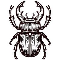 Detailed stag beetle with prominent mandibles and intricate body patterns vector