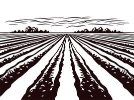 Expansive farmland with plowed rows under cloudy sky at sunset vector