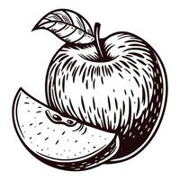 Engraved apple and slice with leaf in black and white vector
