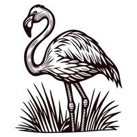 of a flamingo standing in tall grass vector