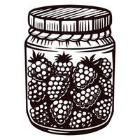 Vintage jar filled with fresh blackberries in rustic line art vector